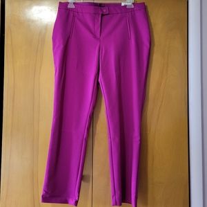 Fuschia Alfani Slacks